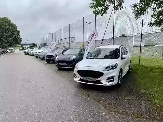 Mehrere Fords in Reihe